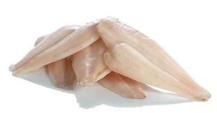 SOLE (GLOSSA) FILLET